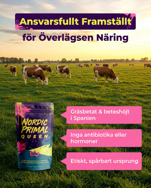 Nordic Primal Automatisk Påfyllning bild 3