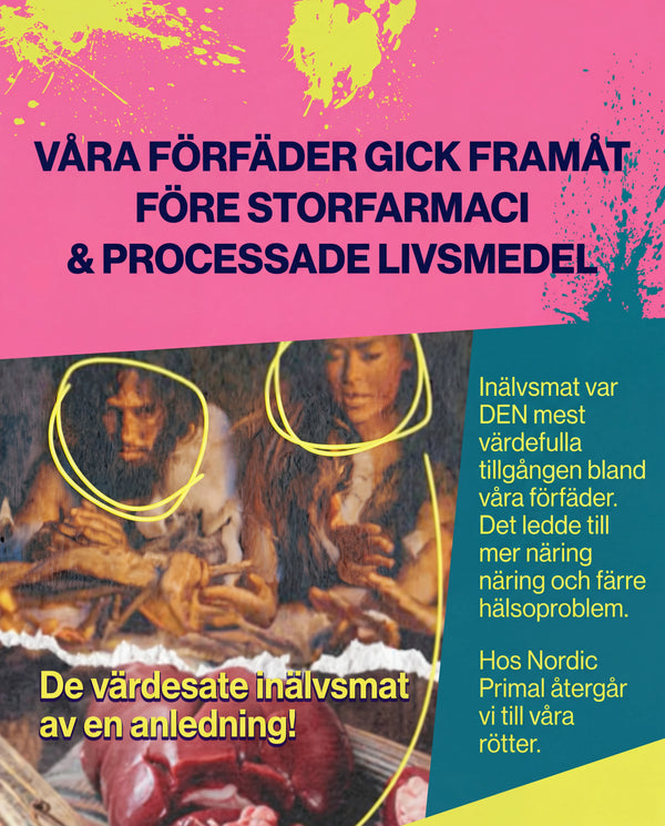 Nordic Primal Automatisk Påfyllning bild 6